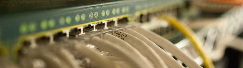 Close-up of network switch ports and patch cables