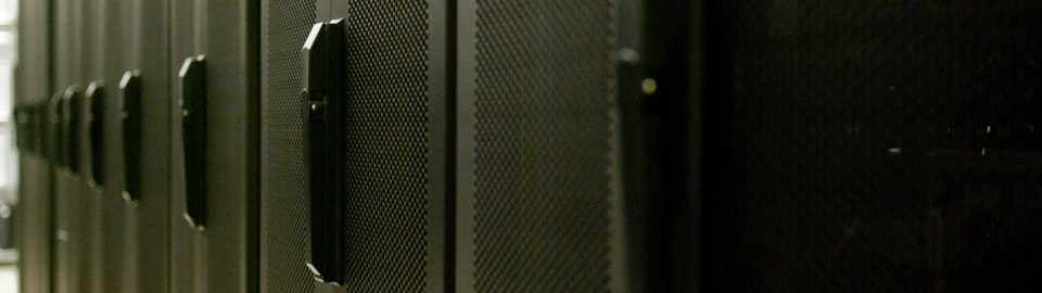 Secure server cabinets with individually keyed cage doors